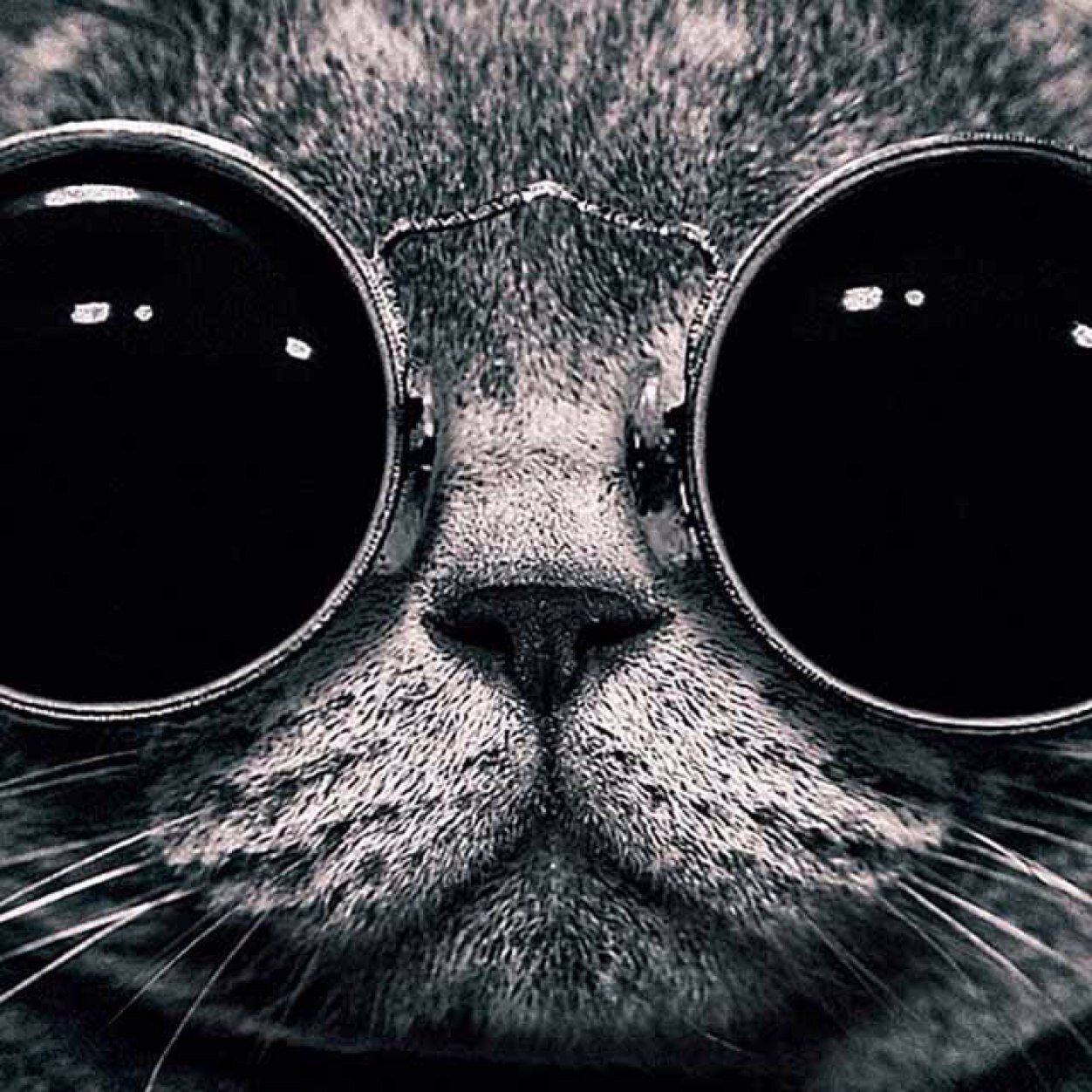 abbott_daryl's profile picture. 