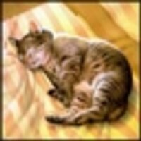Михаил Самылкин (@parad0xxx1) 's Twitter Profile Photo