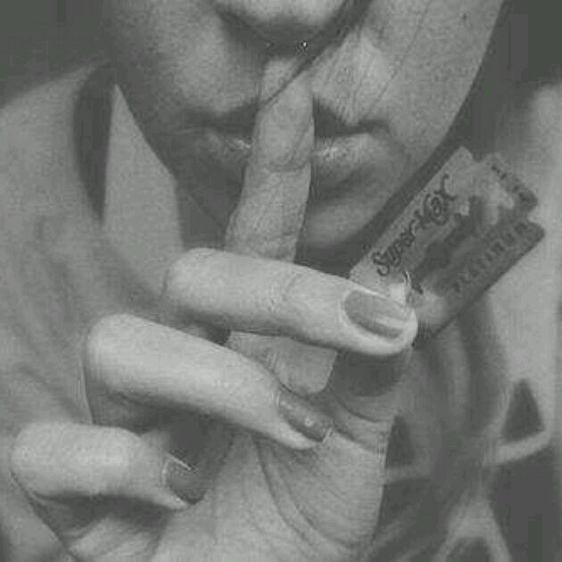 Segue? Sigo de volta ♡