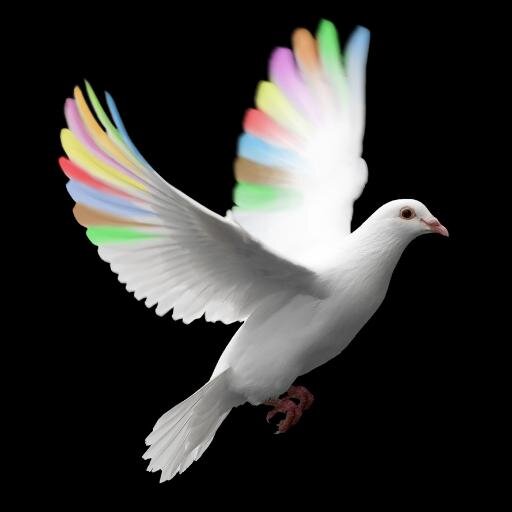 EXOTIKPARTNERS's profile picture. A UNIQUE PROFESSIONAL PLATFORM AIMED AT RESOLVING THE SOCIAL PRESSURE AND OVERHEATED TENDENCIES ON SINGLES WITH EXOTIK PARTNERS,YOU DISCOVER YOUR LIFE PARTNER