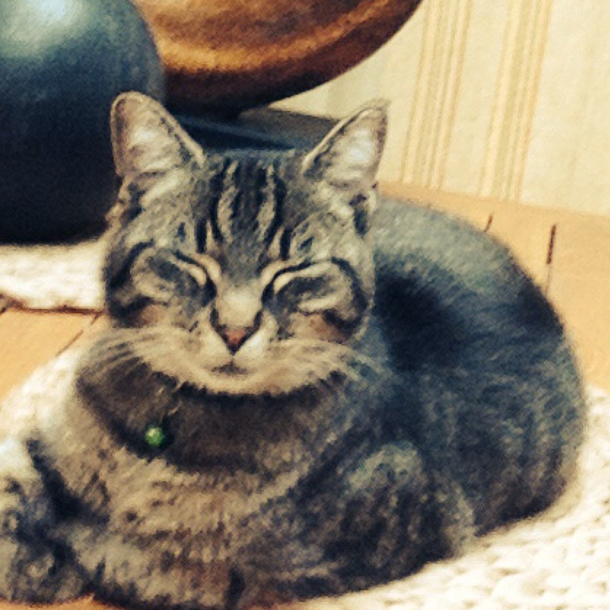 gauthierdebachy's profile picture. 