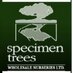 Specimen Trees  (@specimentrees) Twitter profile photo