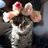 KittybytheCity's profile image