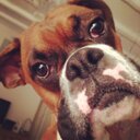 The ginger nutter - @edward_boxer - Twitter