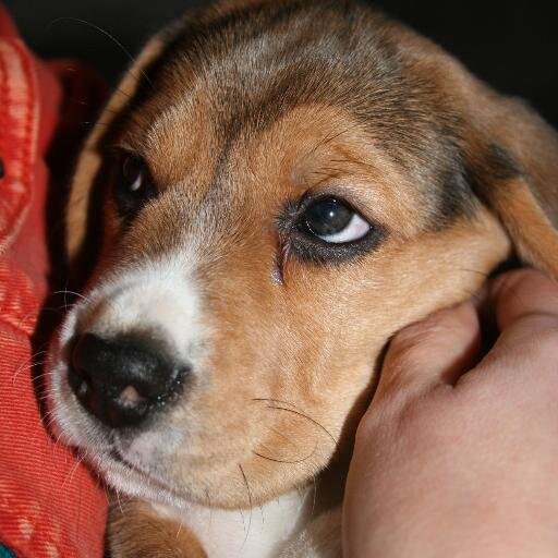 HHvdGoot's profile picture. Life goes on!
 Respect, als iedereen weet wat dat betekent en ernaar leeft.... Wow, wat een wereld hebben we dan?