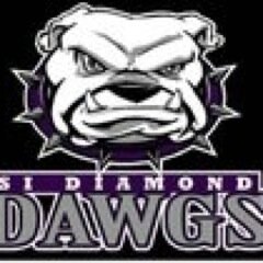 SIDawgsbaseball's profile picture. 14U  SI Diamond Dawgs baseball
Southern Illinois