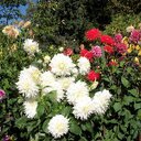 Phyllis Burch - @PUniqueBoutique - Twitter