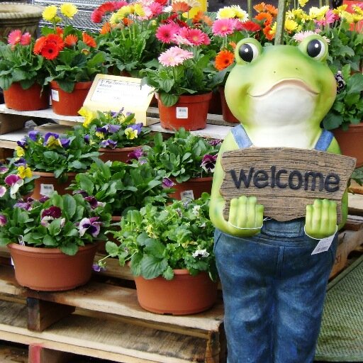 Bridgewater Tree Farm & Garden Center - Your local high quality garden center, Call or stop in today! (508)-279-0353. Now doing mulch deliveries for the summer!