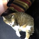 Kathy Cormier - @kseeya28 - Twitter