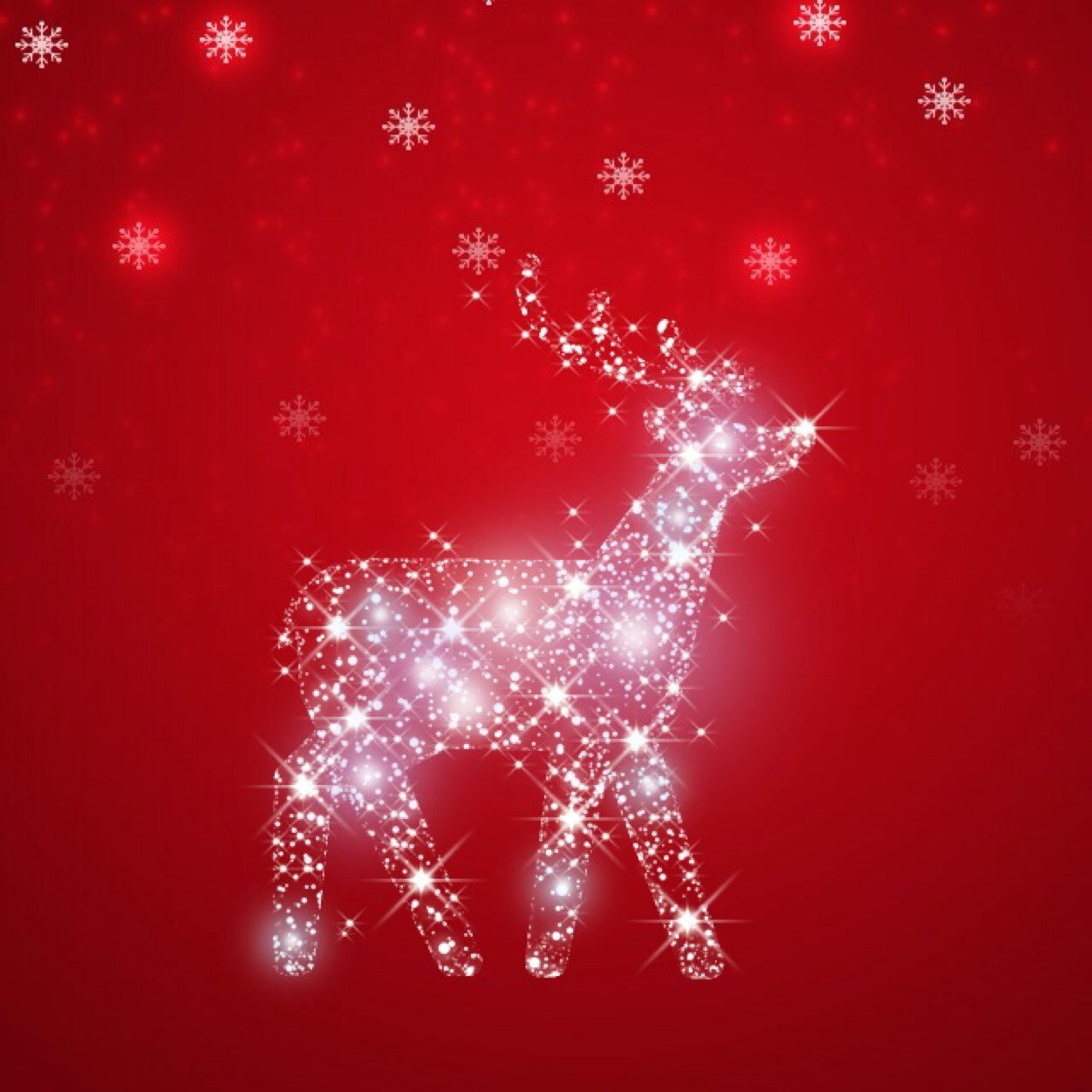 BelikovAndre's profile picture. 