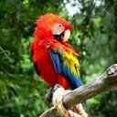 0800ambiente (@0800ambiente) Twitter