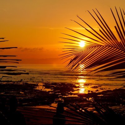 Yoga & Surf Retreat Facility on Costa Rica's Osa Peninsula