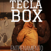 TECLA BOX (@teclabox) 's Twitter Profile