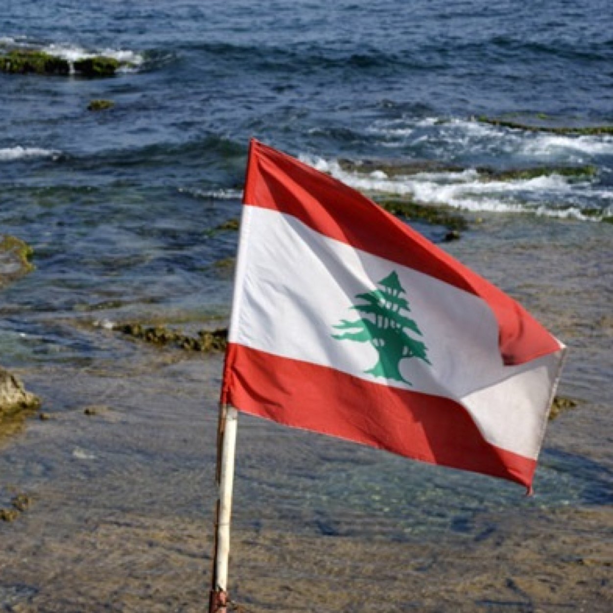 لو ﯾموت ﺎلحلم ' م مات ﺎلأمل
 و ﺎلأمل ب ﺎلله لا ﯾمكن ﯾخخيب ♡