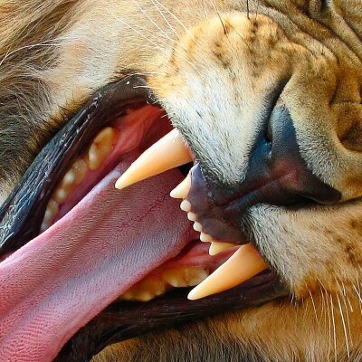 nnNNsson's profile image