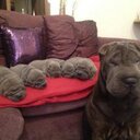 natalie dowd - @natalietraviato - Twitter