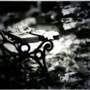 عائض مراوي (@0545749279) Twitter