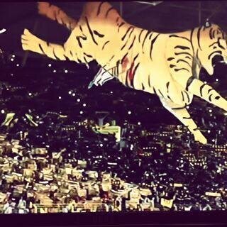 ‏​‏​‏​‏​‏​‏​مَمدريدي و آاتحادي الھہوى 〜 ♡