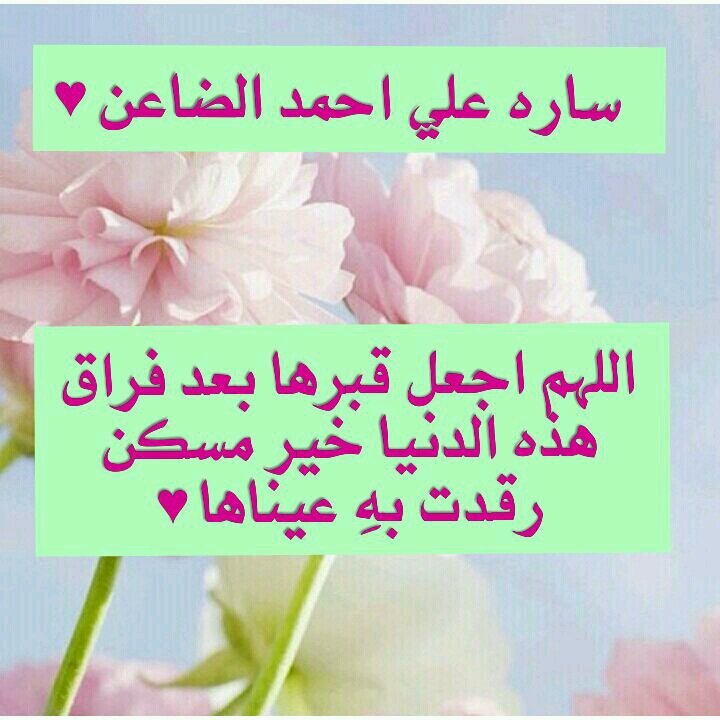 صدقة جاريه من أجل [ساره علي أحمد الضاعن] 💜 ، ولأني اخاف عليها من عثرات الآخره ؟ جعلت هذا الحساب صدقة عنها لعله يكون شفيعاً لها يوم القيامة 💜
