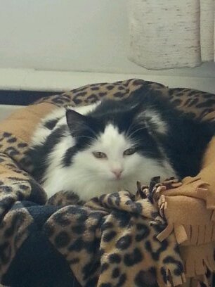 alexisfuller02's profile picture. 