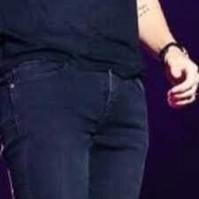 HIIII I'M HARRY STYLES' DICK AND IM HERE TO TELL YOU FACT ABOUT MYSELF