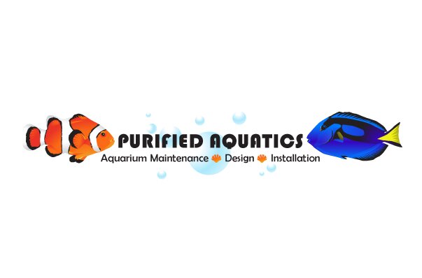 Aquarium Maintenance, Installation, & Design