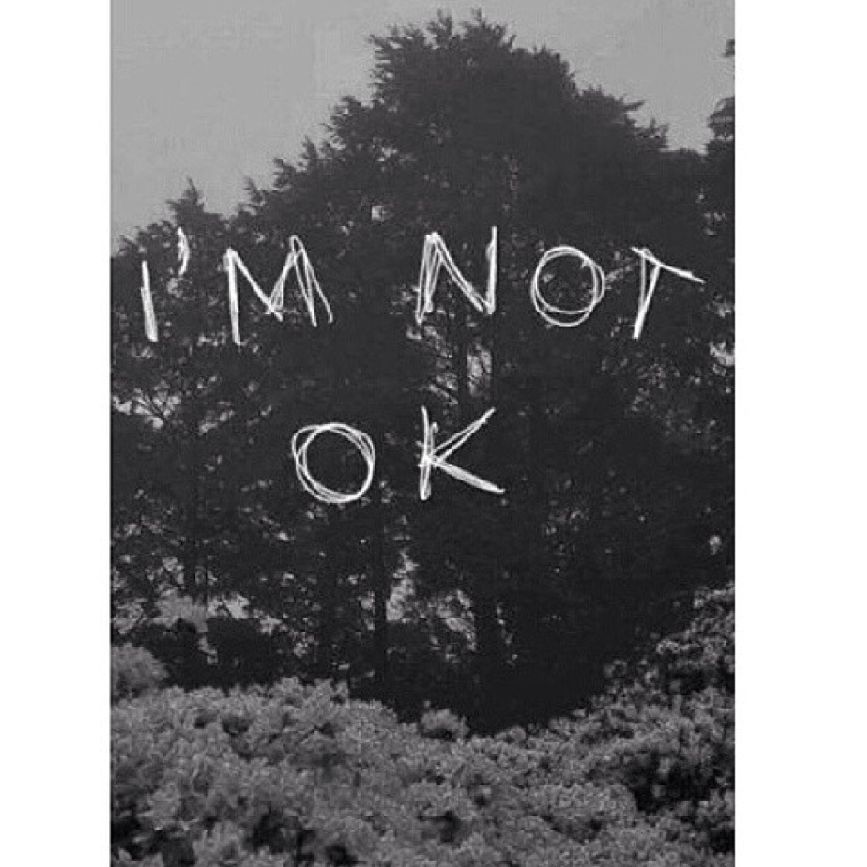 dutch - depressed - secret acc - 13 years - empty - selfharm - cutcutcut - fat .