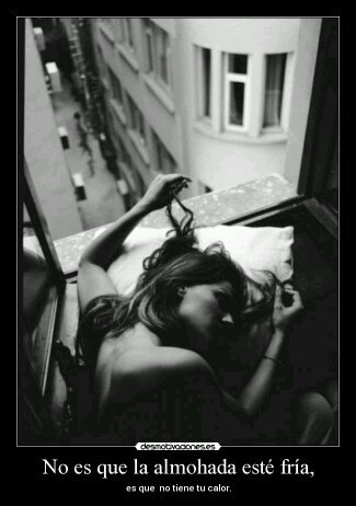 KatnissOz's profile picture. Ten una vida sencilla para que los demas tengan sencillamente un vida.