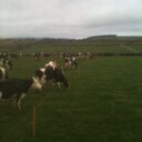 David Collister - @CollisterD - Twitter