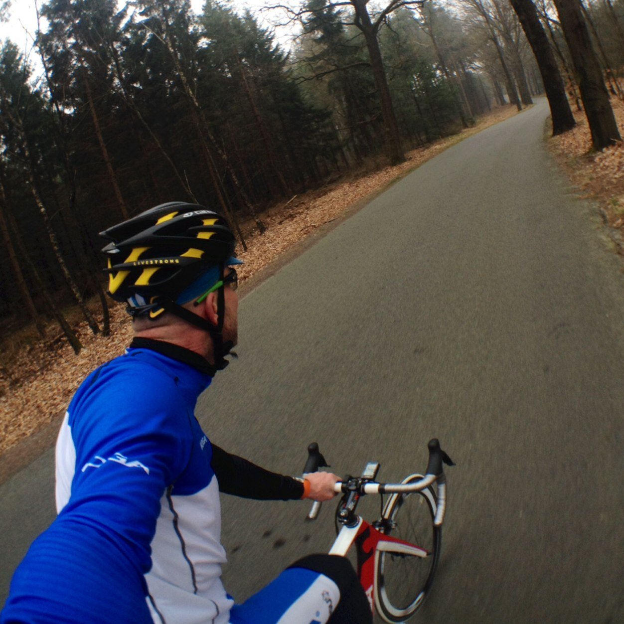 salland2wielers's profile picture. 