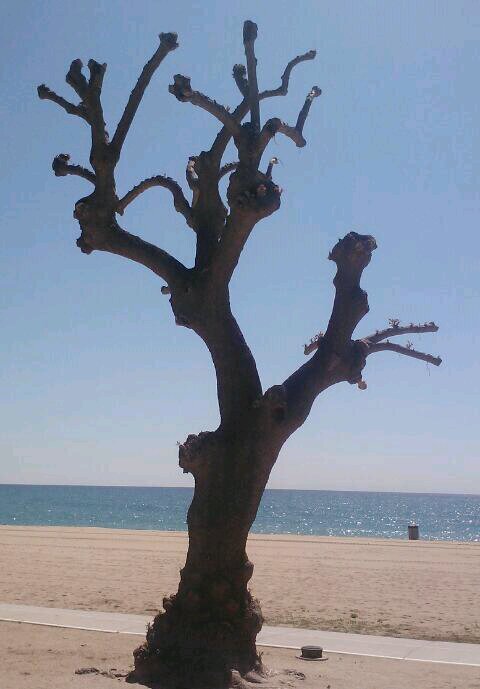 jenok73's profile picture. 