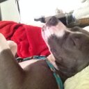 tyler marble - @marble621 - Twitter