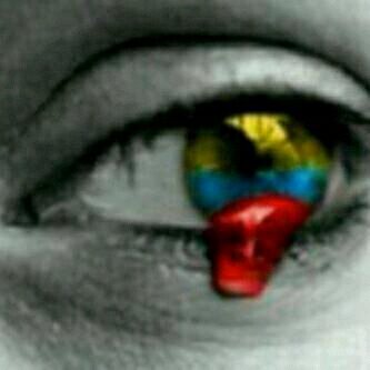 tereorin's profile picture. economista 1993 egresada USM postgrado en Publicidad y Mercadeo España