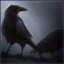 rwerdaWi Profile Picture