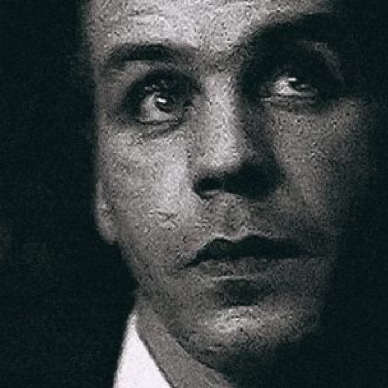 HumaneBearer's profile picture. It's all fun and games until birds start picking out your organs. [RP]