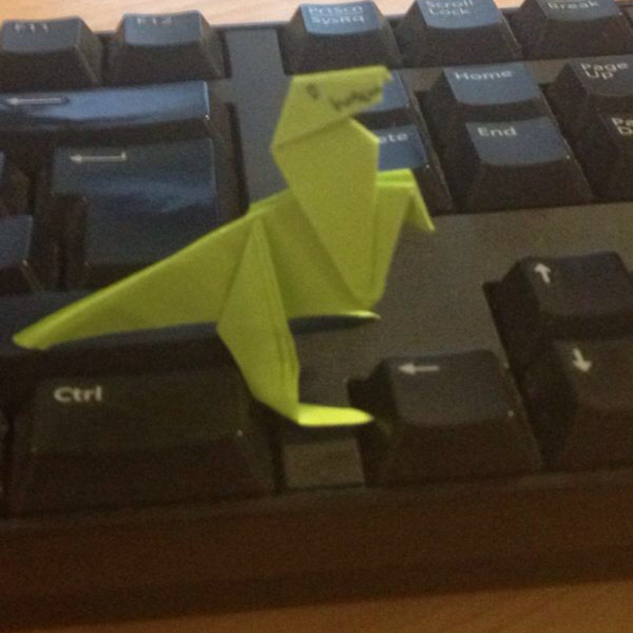 wStelfox's profile picture. Nothing worth putting in my bio. If I think of anything you'll be the first to know.