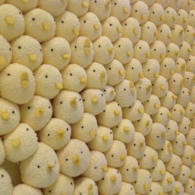 ぴよだまり福岡 Piyofukuoka Twitter ぴよだまり福岡 Piyofukuoka Twitter