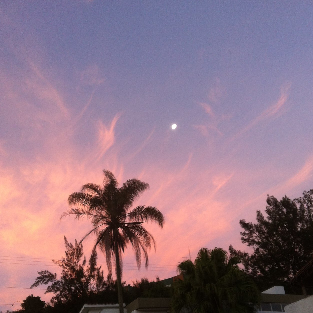 victorsalvatti's profile picture. 