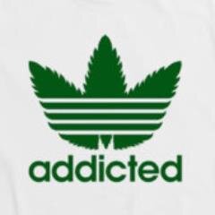 KushBreath's profile picture. All I Do Is Smoke Weed And Tweet About Dope Shit