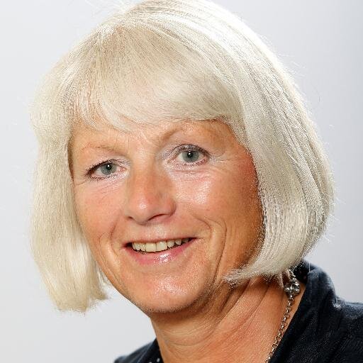 Solveigtwit's profile picture. 