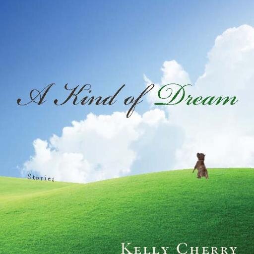 Author, 27 full-length books + 11 chapbooks of poetry, literary fiction,  nonfiction & 2 translations of classical drama. Prof Emerita Wisc-Madison, 2 chairs