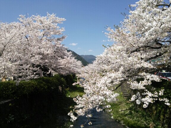 医学博士。コロナ禍の全体主義的な惨状を経て、東洋思想、自然体な暮らし方に、興味を持ちました。好きなアニメは「風の谷のナウシカ」、「天空の城ラピュタ」。いつから人は自然や他の生き物に対して畏敬の念を抱けず、傲慢になってしまったのでしょうか！？