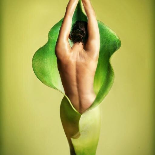 Explosive Life, Modern Women,