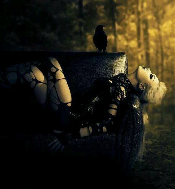 Words are nothing more than whispered promises spilled onto paper to form broken tears of the mortal realm VAMP-DEMON SHIFTER~RP21+NSFW #authorHellraiser