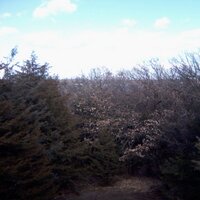 Michael Emanuel (@mje3435michael) 's Twitter Profile