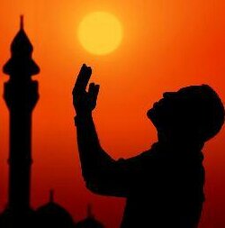 3654noufi's profile picture. سبحان الله وبحمده سبحان الله العظيم♥