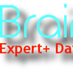 BrainSurface | Expert+ Database Services - Guaranteed!