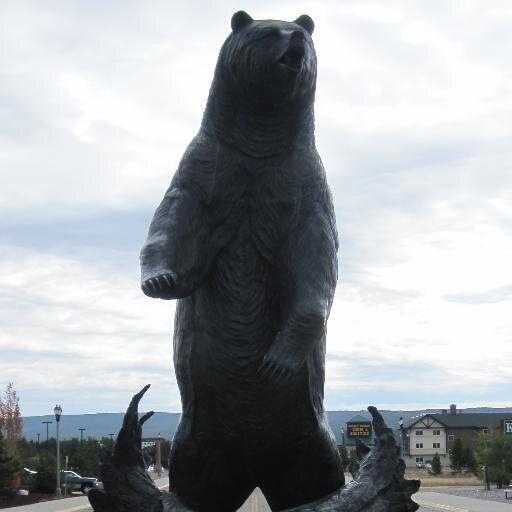 Montanawild's profile picture. 