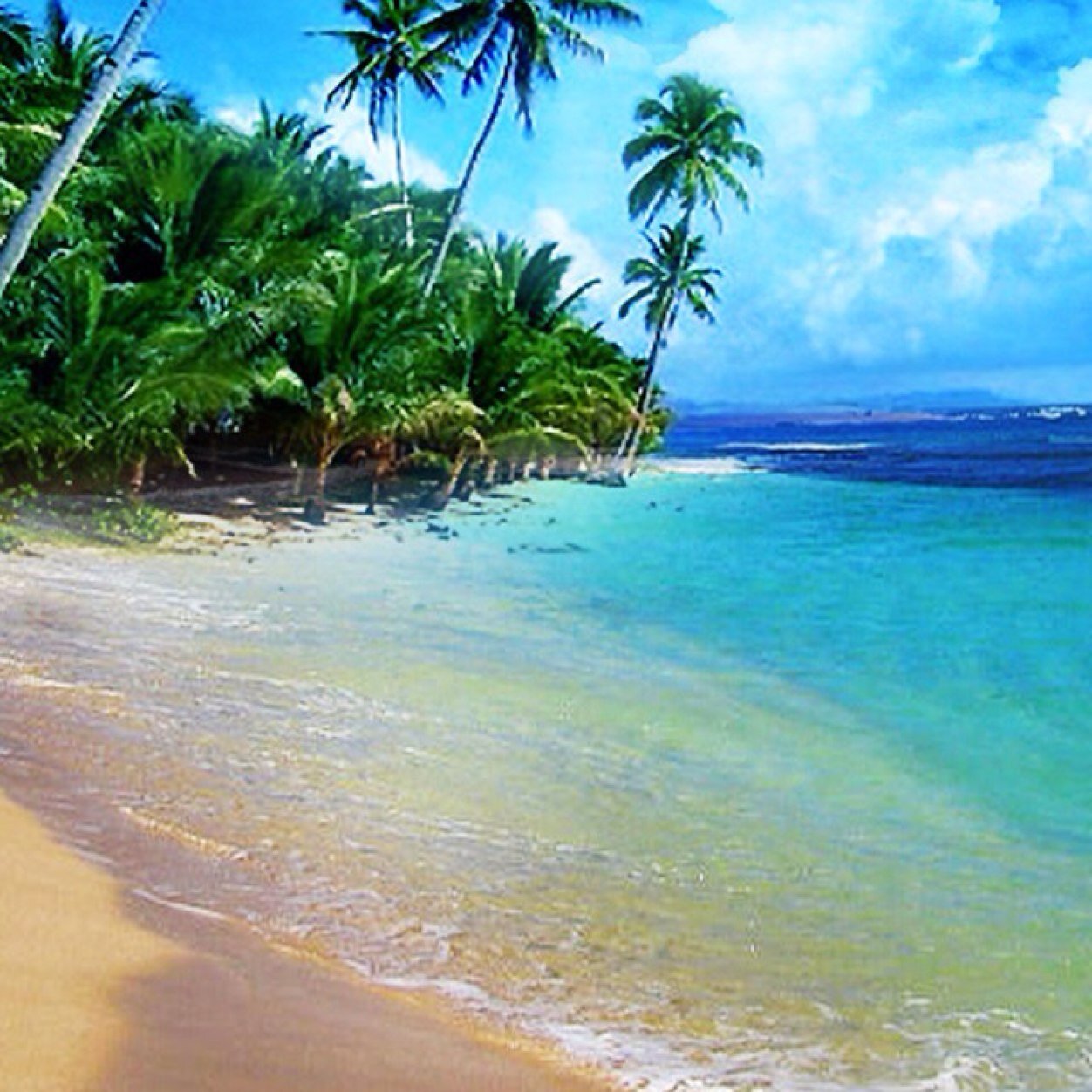 MitziEldam's profile picture. 