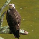 Tamra Harris - @TamraRHarris - Twitter